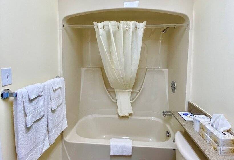 فندق Colonial House Motor Inn