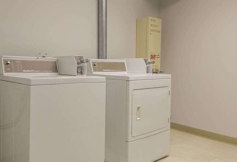 فندق Comfort Inn & Suites