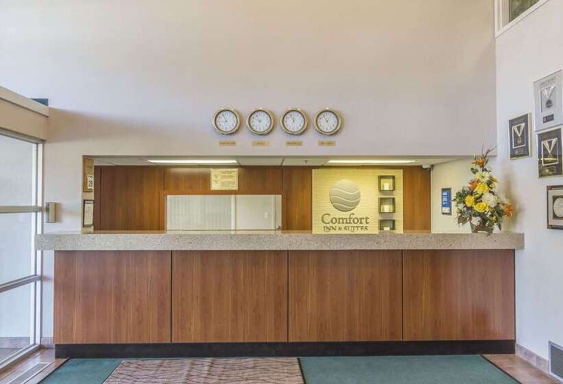 فندق Comfort Inn & Suites