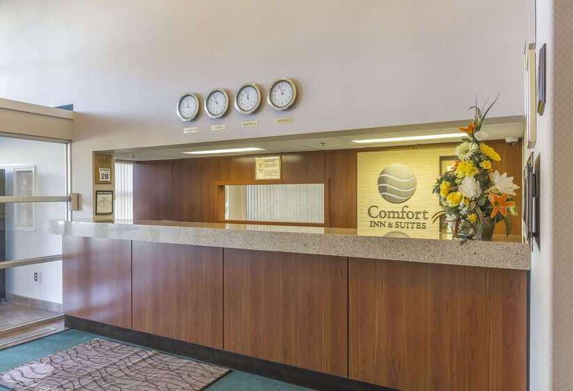 فندق Comfort Inn & Suites