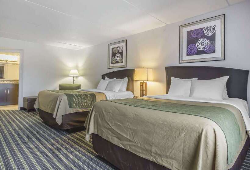 فندق Comfort Inn & Suites