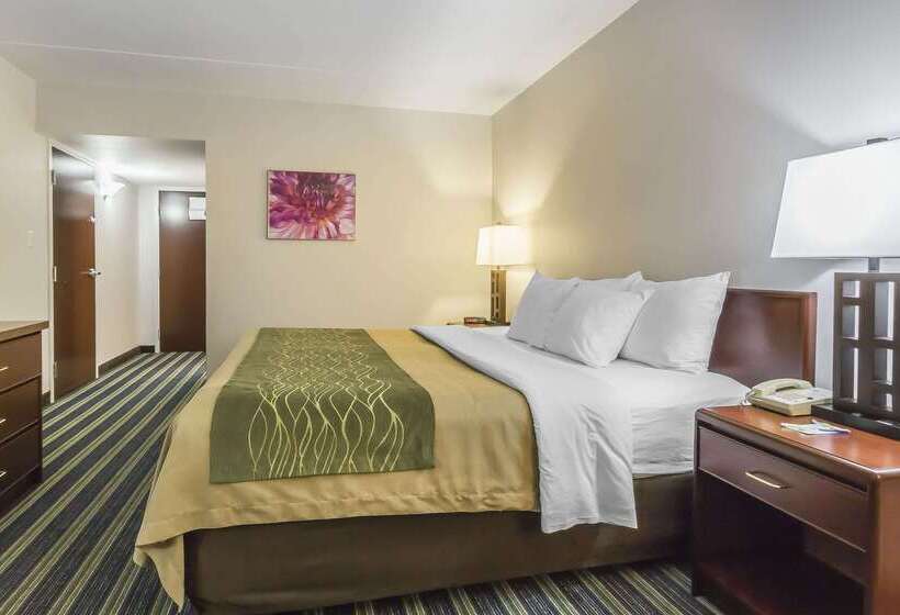 فندق Comfort Inn & Suites