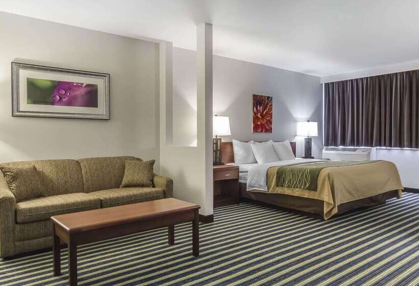 فندق Comfort Inn & Suites