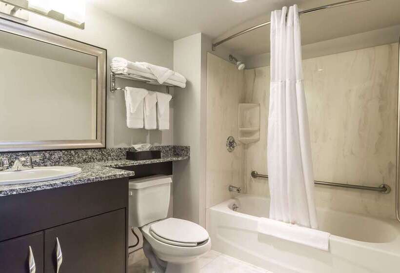 فندق Comfort Inn & Suites