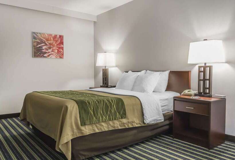 فندق Comfort Inn & Suites