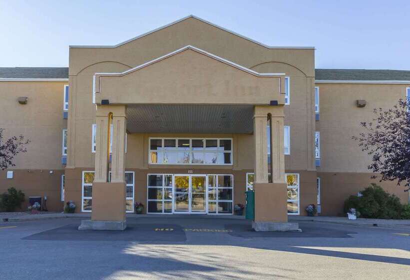 فندق Comfort Inn & Suites