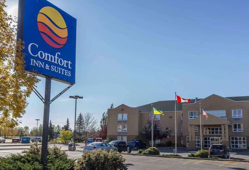 فندق Comfort Inn & Suites