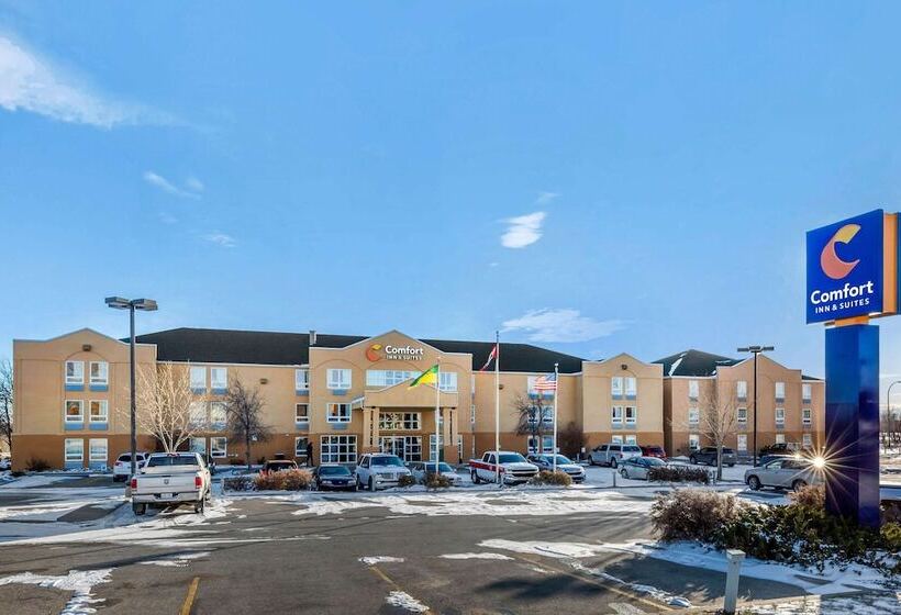 فندق Comfort Inn & Suites