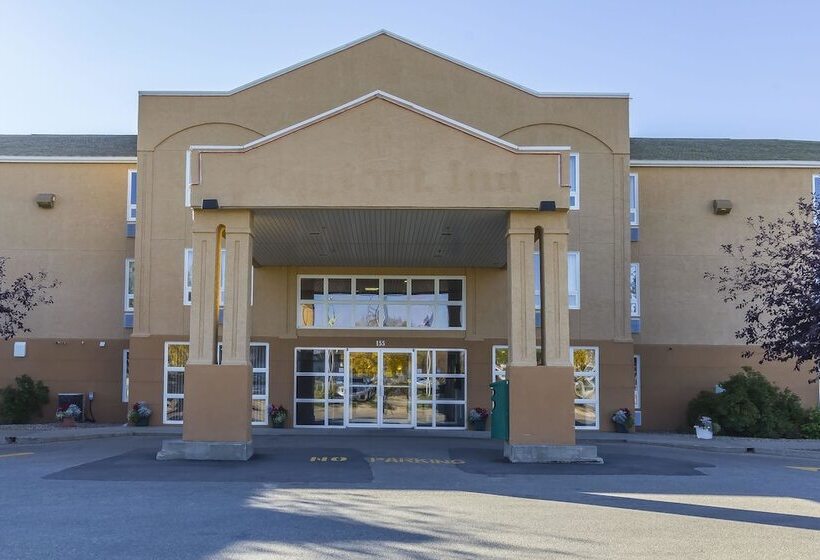 فندق Comfort Inn & Suites