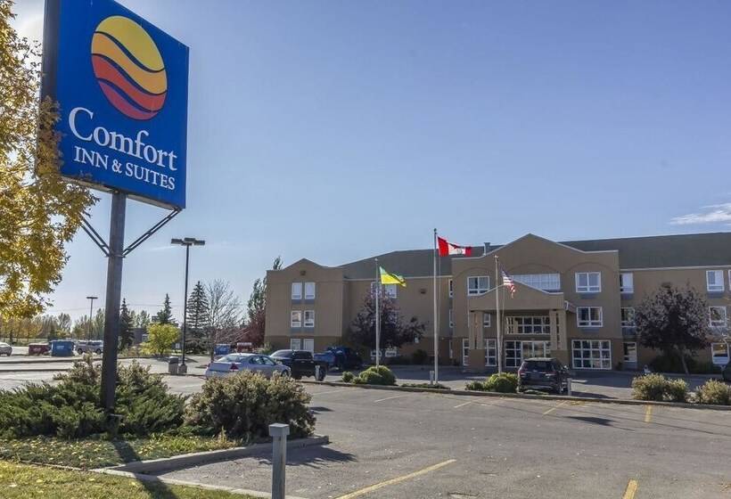 فندق Comfort Inn & Suites