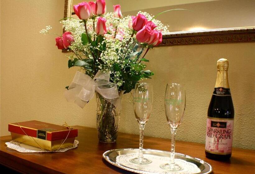 酒店 Country Inn & Suites By Radisson, Knoxville West, Tn