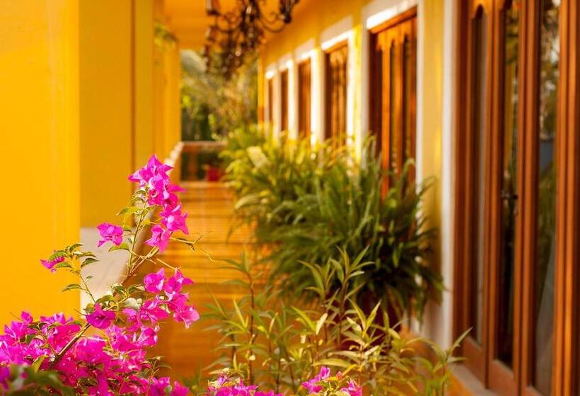 هتل El Encanto Inn & Suites