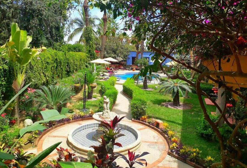 בית מלון כפרי El Encanto Inn & Suites