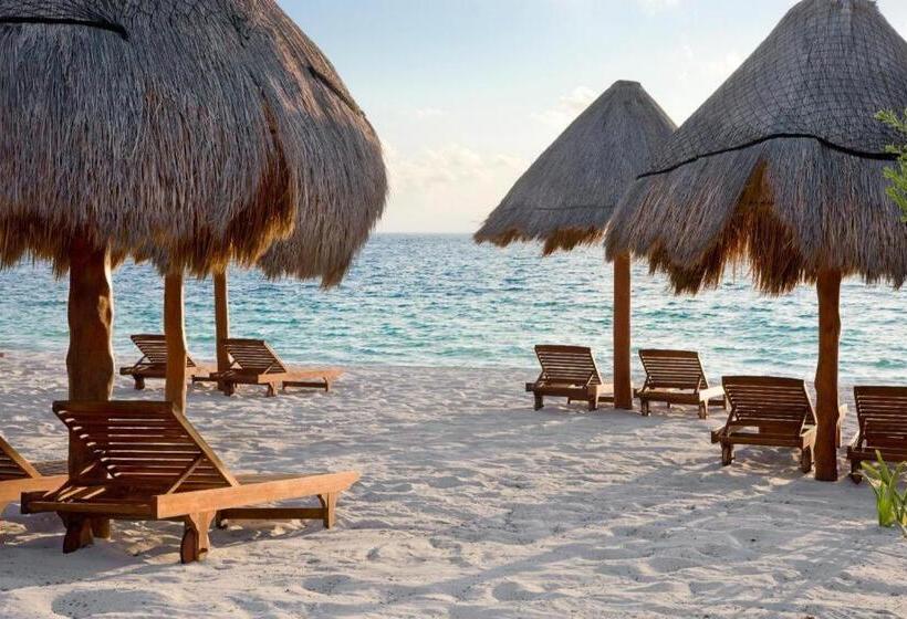 酒店 Excellence Riviera Cancun All Inclusive - Adults Only