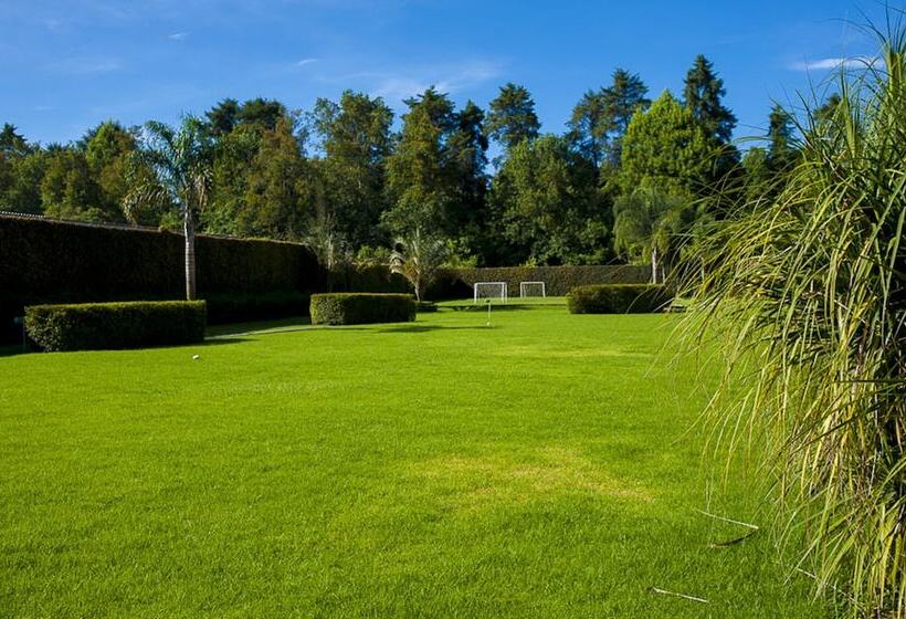 ホテル Gamma By Fiesta Americ Xalapa Nubara