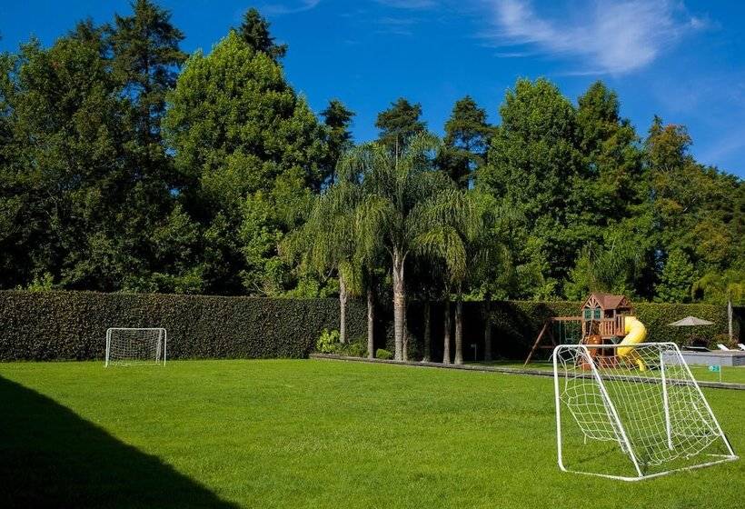 ホテル Gamma By Fiesta Americ Xalapa Nubara