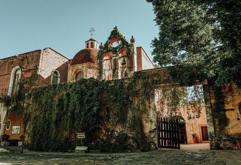 Hacienda El Carmen Hotel & Spa