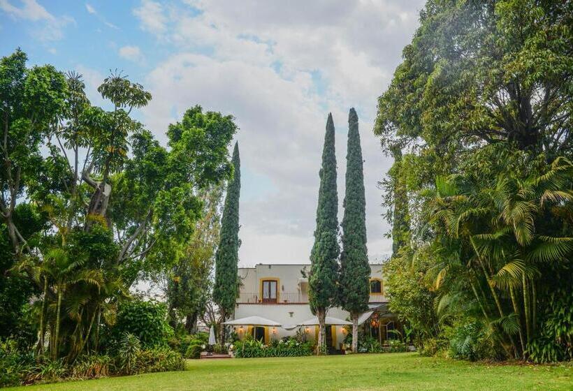فندق Hacienda Los Laureles