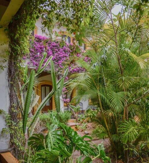 فندق Hacienda Los Laureles