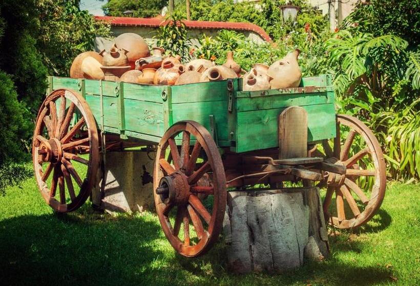 فندق Hacienda Los Laureles