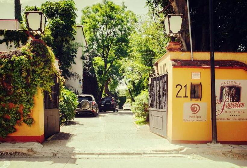 فندق Hacienda Los Laureles