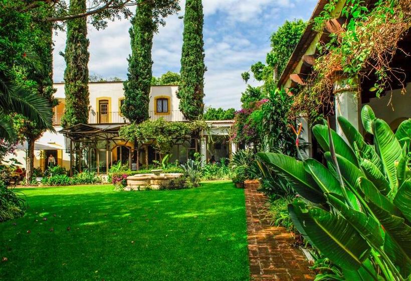 فندق Hacienda Los Laureles