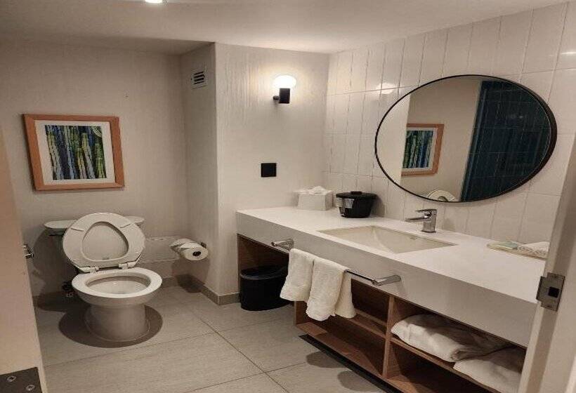 فندق Hampton by Hilton Saltillo Zona Aeropuerto