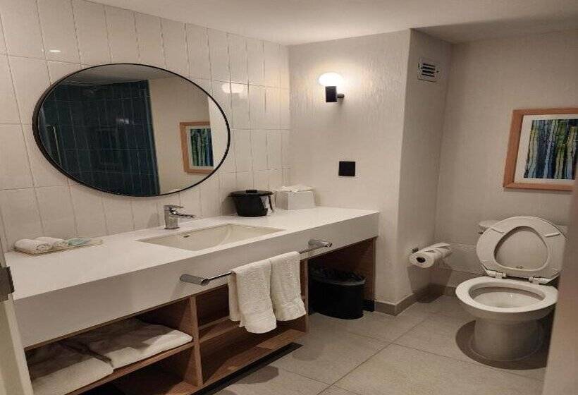 فندق Hampton by Hilton Saltillo Zona Aeropuerto