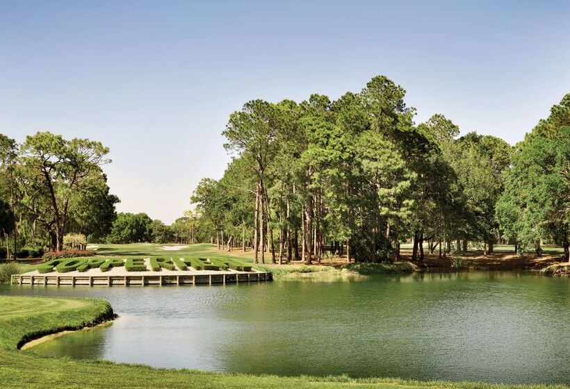 فندق Hampton Inn & Suites Tarpon Springs