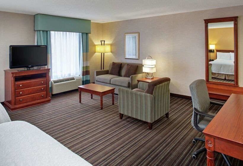 Отель Hampton Inn & Suites By Hilton Toronto Airport