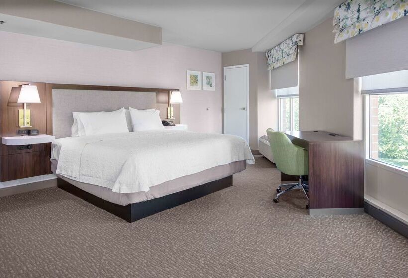 酒店 Hampton Inn & Suites Arlington Crystal City Dca