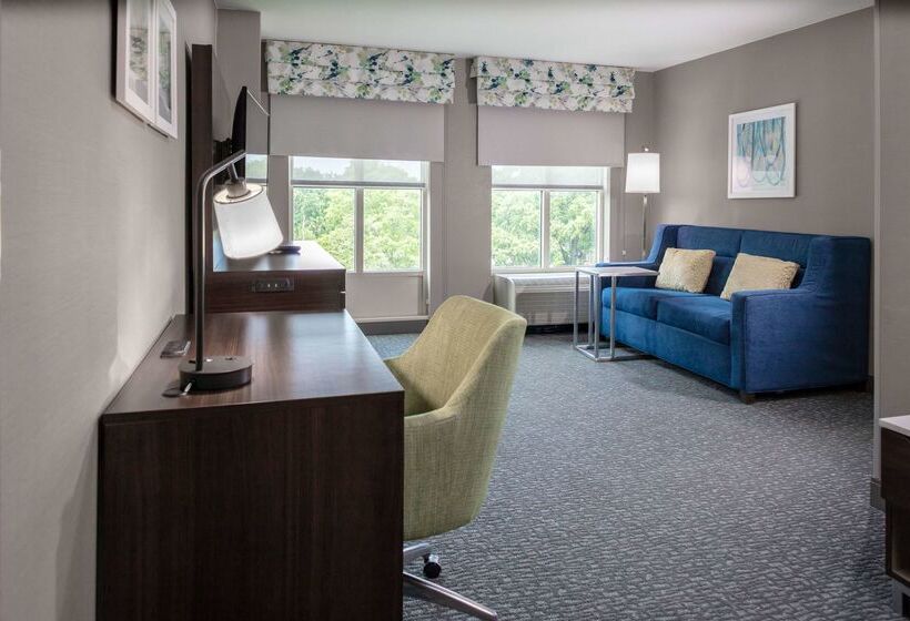 酒店 Hampton Inn & Suites Arlington Crystal City Dca
