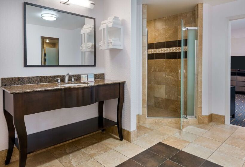 فندق Hampton Inn & Suites Buffalo Downtown