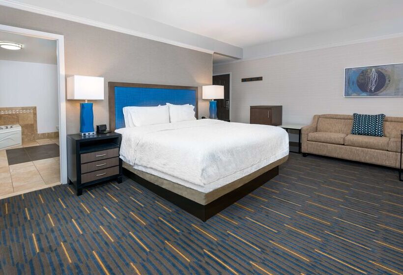 فندق Hampton Inn & Suites Buffalo Downtown
