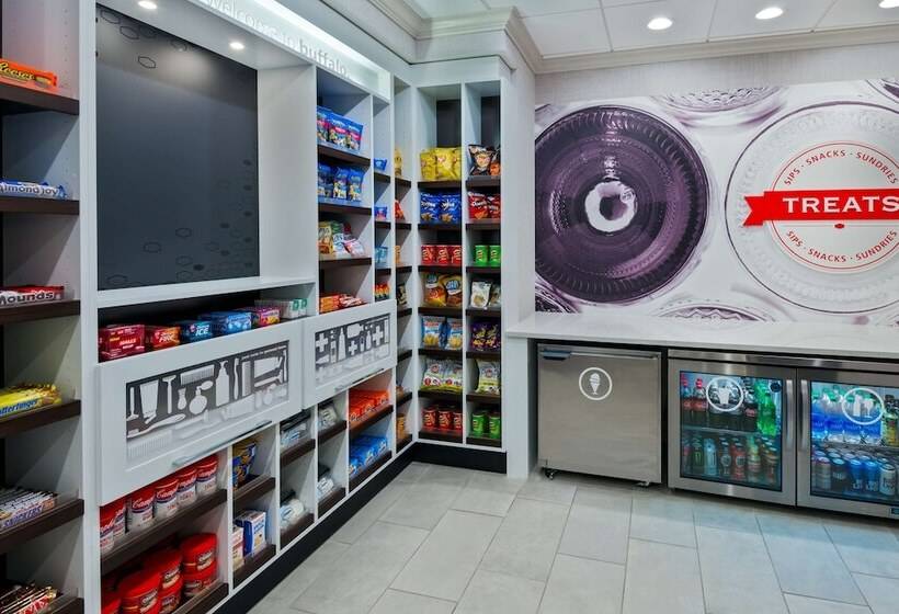 فندق Hampton Inn & Suites Buffalo Downtown