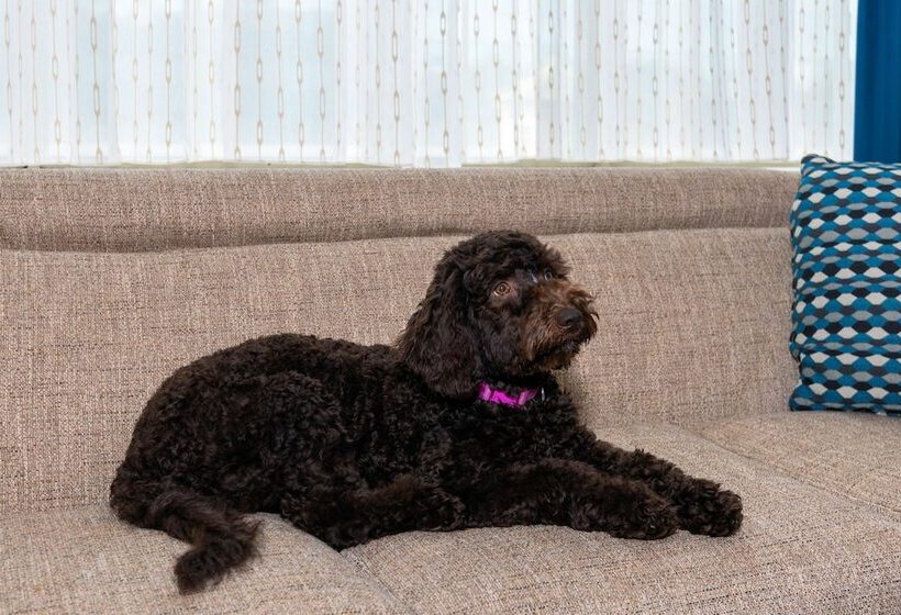 فندق Hampton Inn & Suites Buffalo Downtown