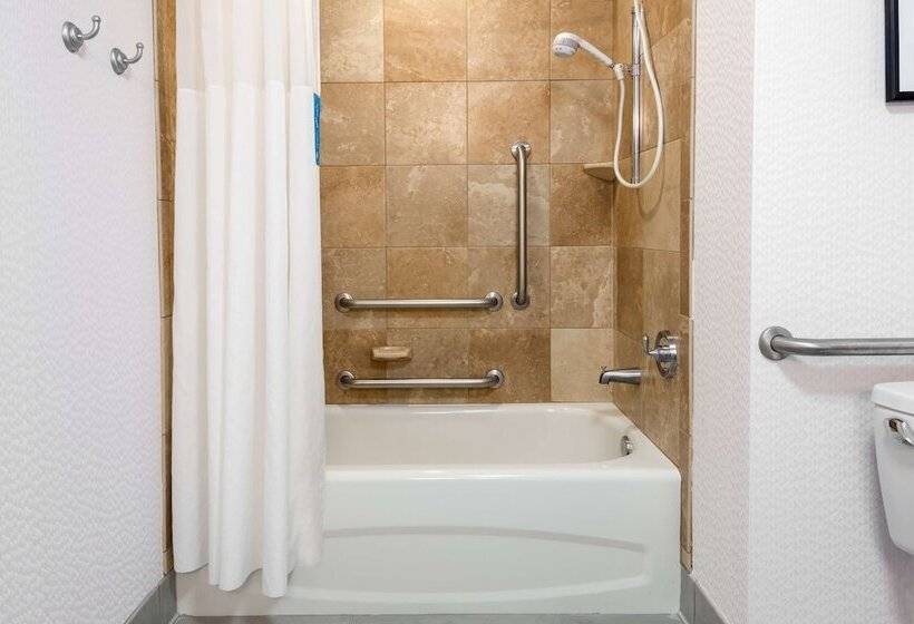 فندق Hampton Inn & Suites Buffalo Downtown