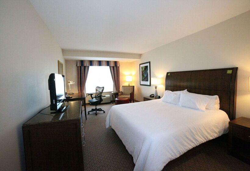 فندق Hilton Garden Inn Elmira Corning