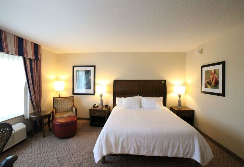 فندق Hilton Garden Inn Elmira Corning
