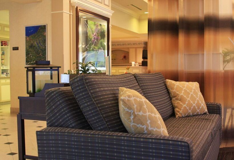 فندق Hilton Garden Inn Elmira Corning