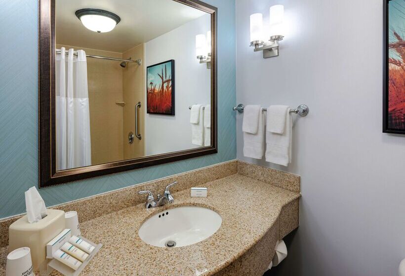 هتل Hilton Garden Inn Omaha Downtown/old Market Area