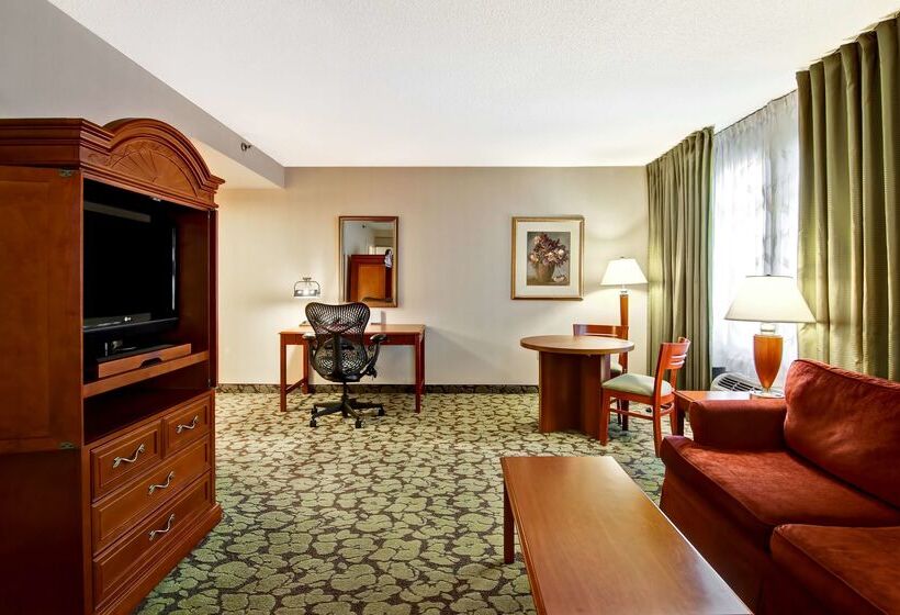 فندق Hilton Garden Inn Toronto/markham