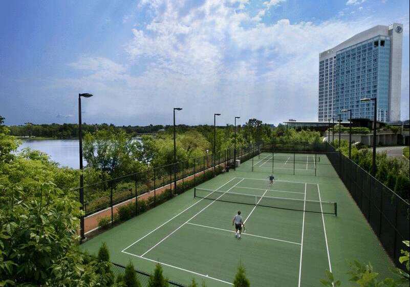 فندق Hilton Lacleamy