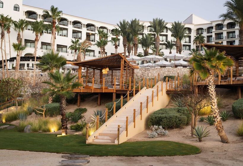 酒店 Hilton Los Cabos