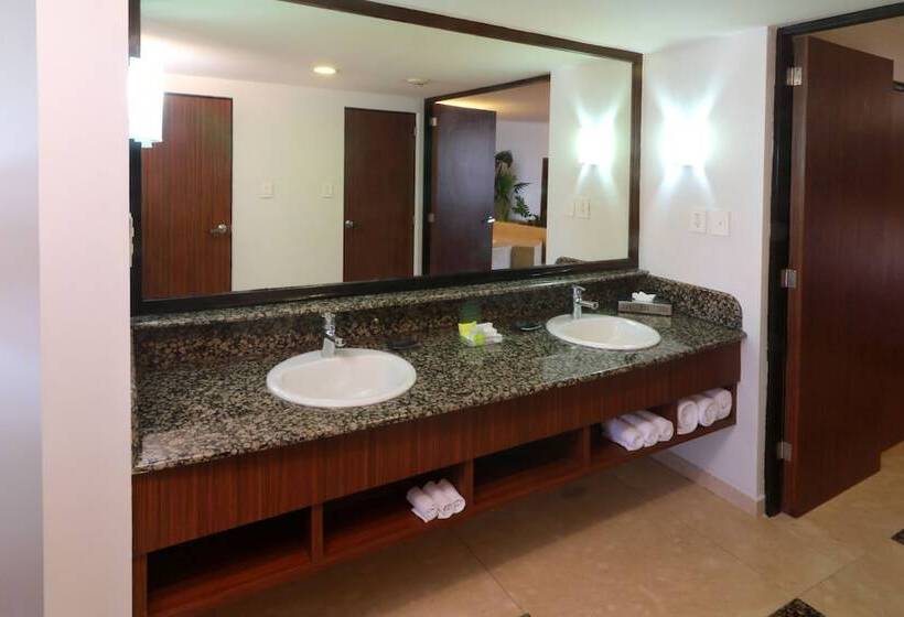 호텔 Holiday Inn Mexico City   Trade Center, An Ihg