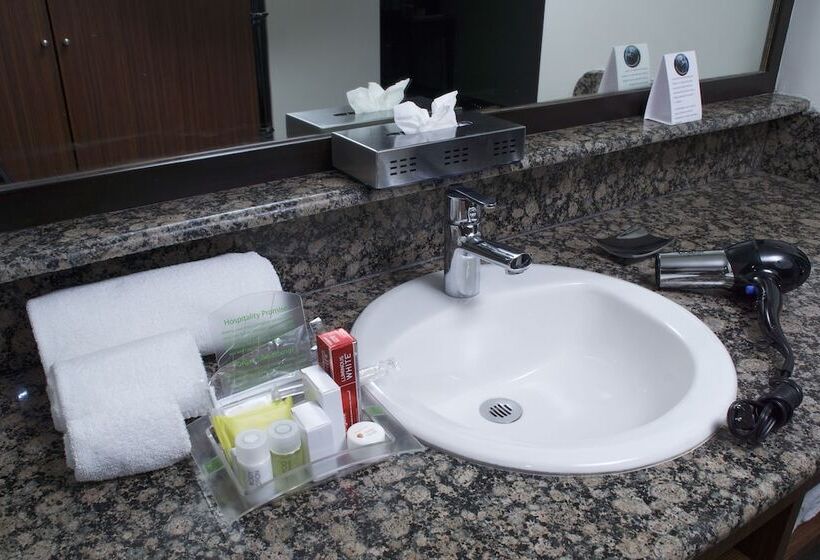 호텔 Holiday Inn Mexico City   Trade Center, An Ihg