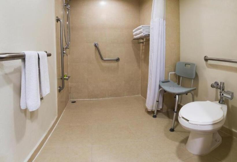 ホテル Holiday Inn Orizaba, An Ihg