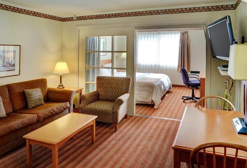 فندق Lakeview Inns & Suites  Brandon