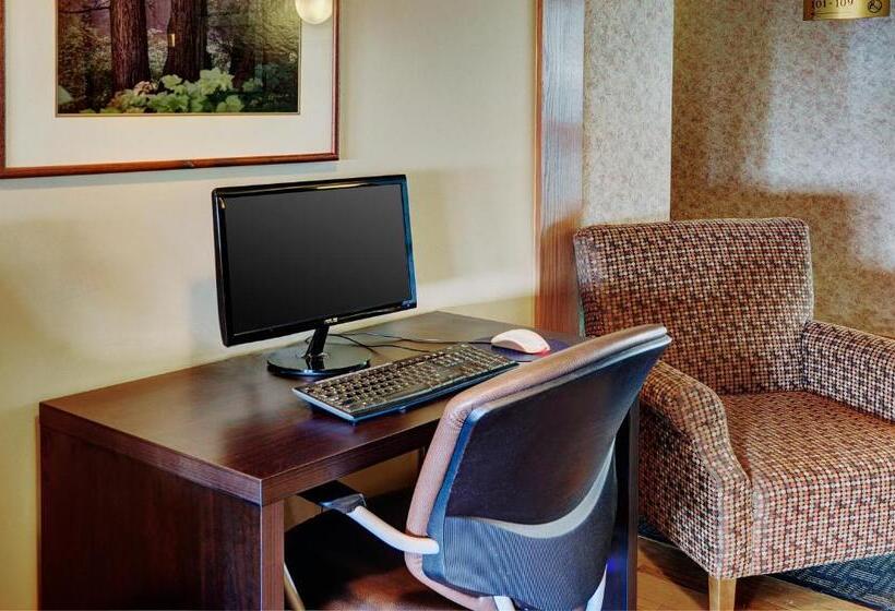 فندق Lakeview Inns & Suites  Brandon