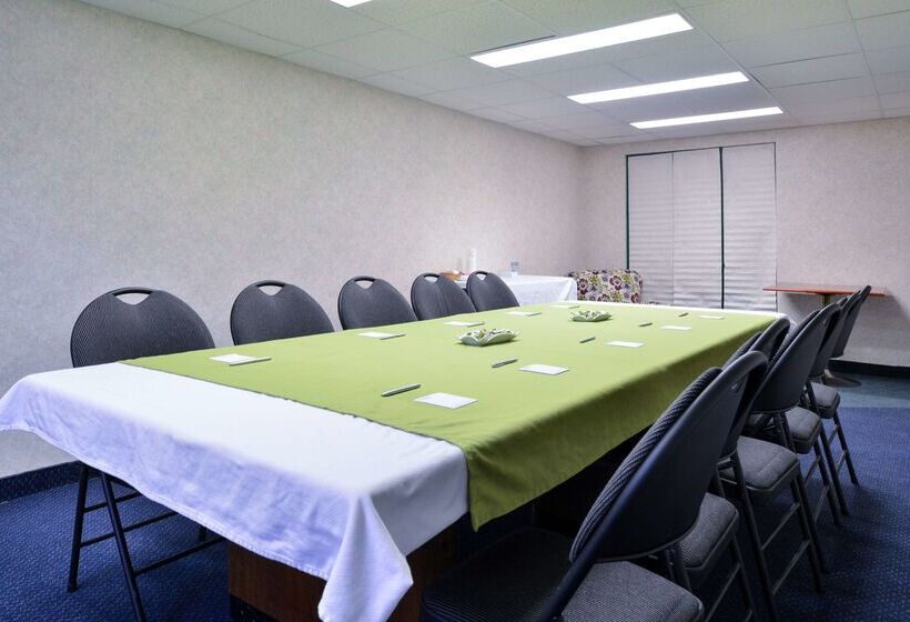 בית מלון כפרי Lexington Inn & Suites Windsor